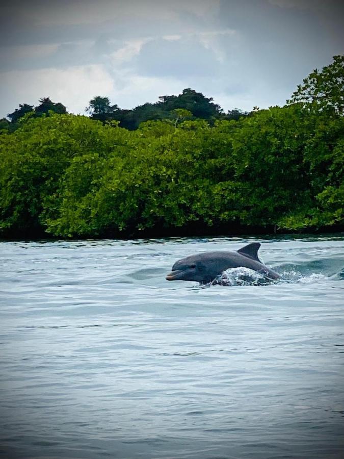 Kevin Kondos Bocas del Toro Extérieur photo